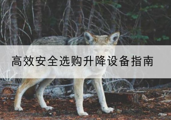 八宿升降货梯厂家推荐-*安全选购升降设备指南