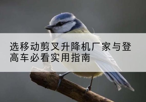 八宿电动升降机厂家-选移动剪叉升降机厂家与登高车必看实用指南