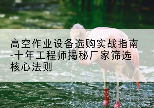 八宿剪叉式升降机厂家-高空作业设备选购实战指南-十年工程师揭秘厂家筛选核心法则