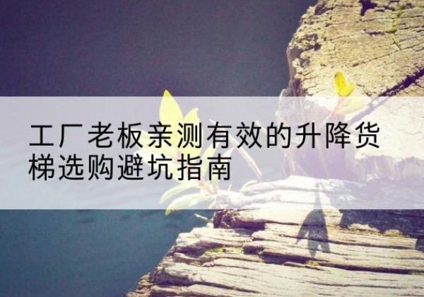 八宿升降货梯怎么选-工厂老板亲测有效的升降货梯选购避坑指南